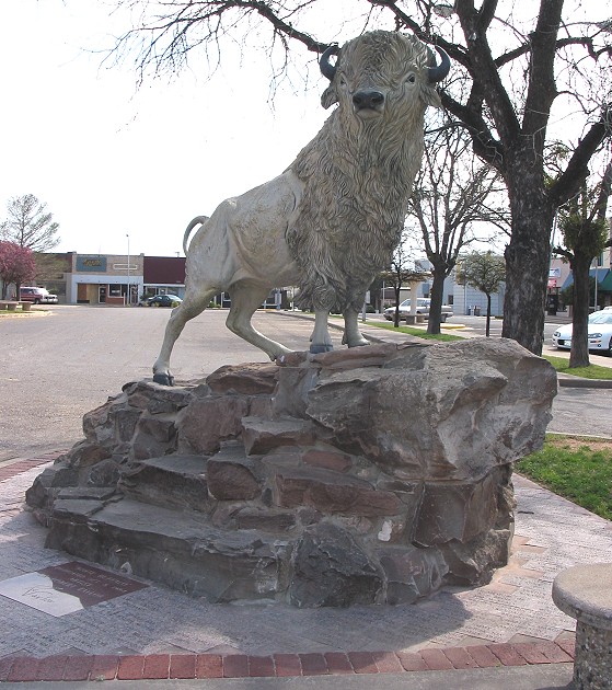 America Texas Snyder